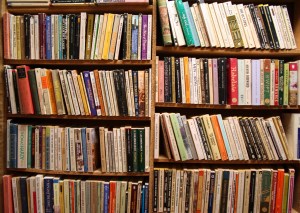 Most definitely not the number of books I read this year. Photo by author.