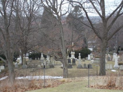 View from Washington Tower.