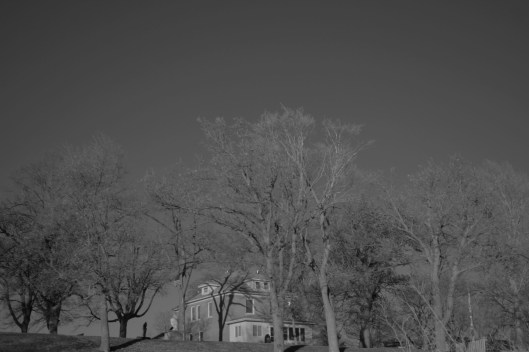 Taken with a red filter, Nov. 24, 2013.