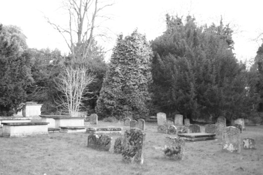 The back part of the cemetery.