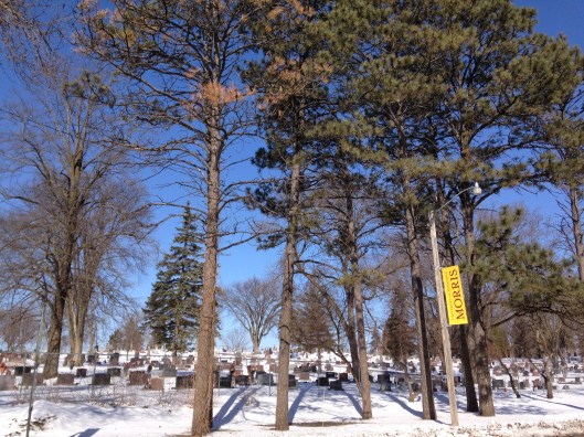 Who doesn't love a campus with a cemetery next door? Or is it a cemetery with a campus next door? Either way, it's wonderful!