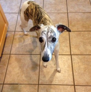 Trying to recreate the shot recently.