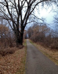 The trail today. What will it look like tomorrow?