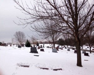 The view from Camilla's grave looking east. The three stones in the foreground, next to the tree, mark where Camilla's two brothers and her sister are buried. They preceded her in death; that's why those three are in a row, and Camilla and her parents are in the next row. 