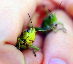 Photo Credit: sunshineband via Compfight cc 