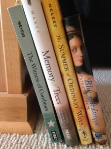 A sampling of trauma-free memoirs on my bookshelf. 